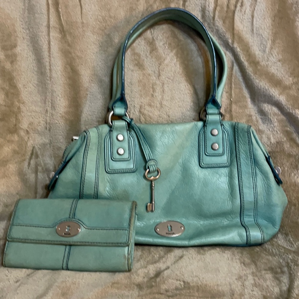Fossil satchel
